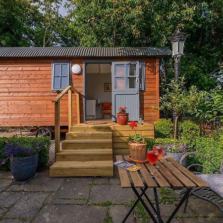 Hawthorn Hut Kilkenny Glamping At Jenkinstown House Hotel Jenkinstown Park Luaran gambar